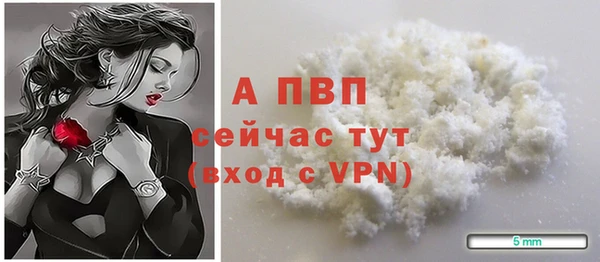 Альфа ПВП Верея