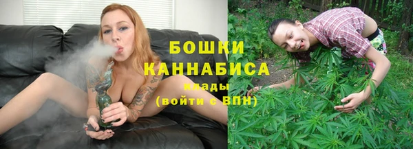 Альфа ПВП Верея