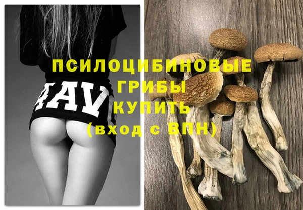 Альфа ПВП Верея