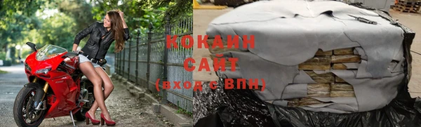 индика Волосово