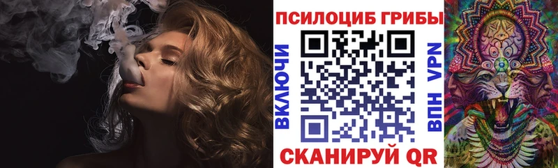 Псилоцибиновые грибы GOLDEN TEACHER  Пушкино 
