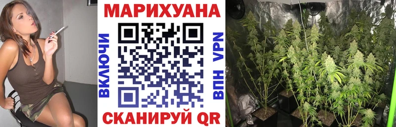 Бошки марихуана индика  Пушкино 